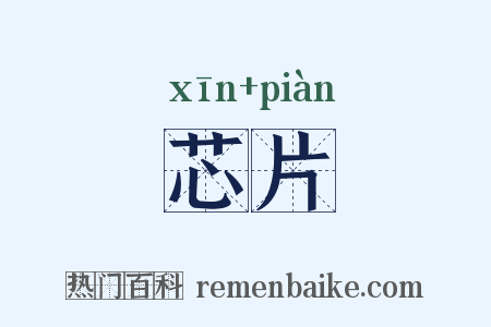 芯片是什么意思的图片